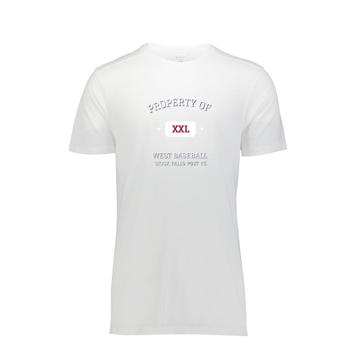 [FTSCUBWH-AS-LOGO1] Decker Men's Tri-Blend T-Shirt - Short Sleeve (Adult S, White, Logo 1)