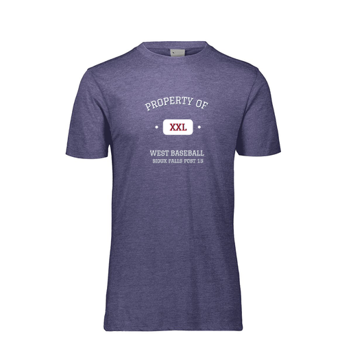 [FTSCUBRY-AS-LOGO1] Decker Men's Tri-Blend T-Shirt - Short Sleeve (Adult S, Royal, Logo 1)