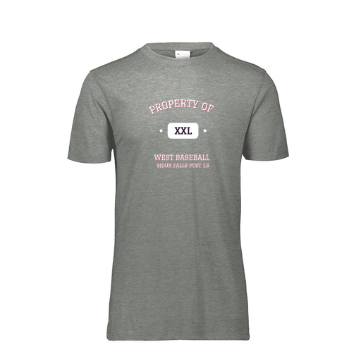 [FTSCUBGY-AS-LOGO2] Decker Men's Tri-Blend T-Shirt - Short Sleeve (Adult S, Gray, Logo 2)